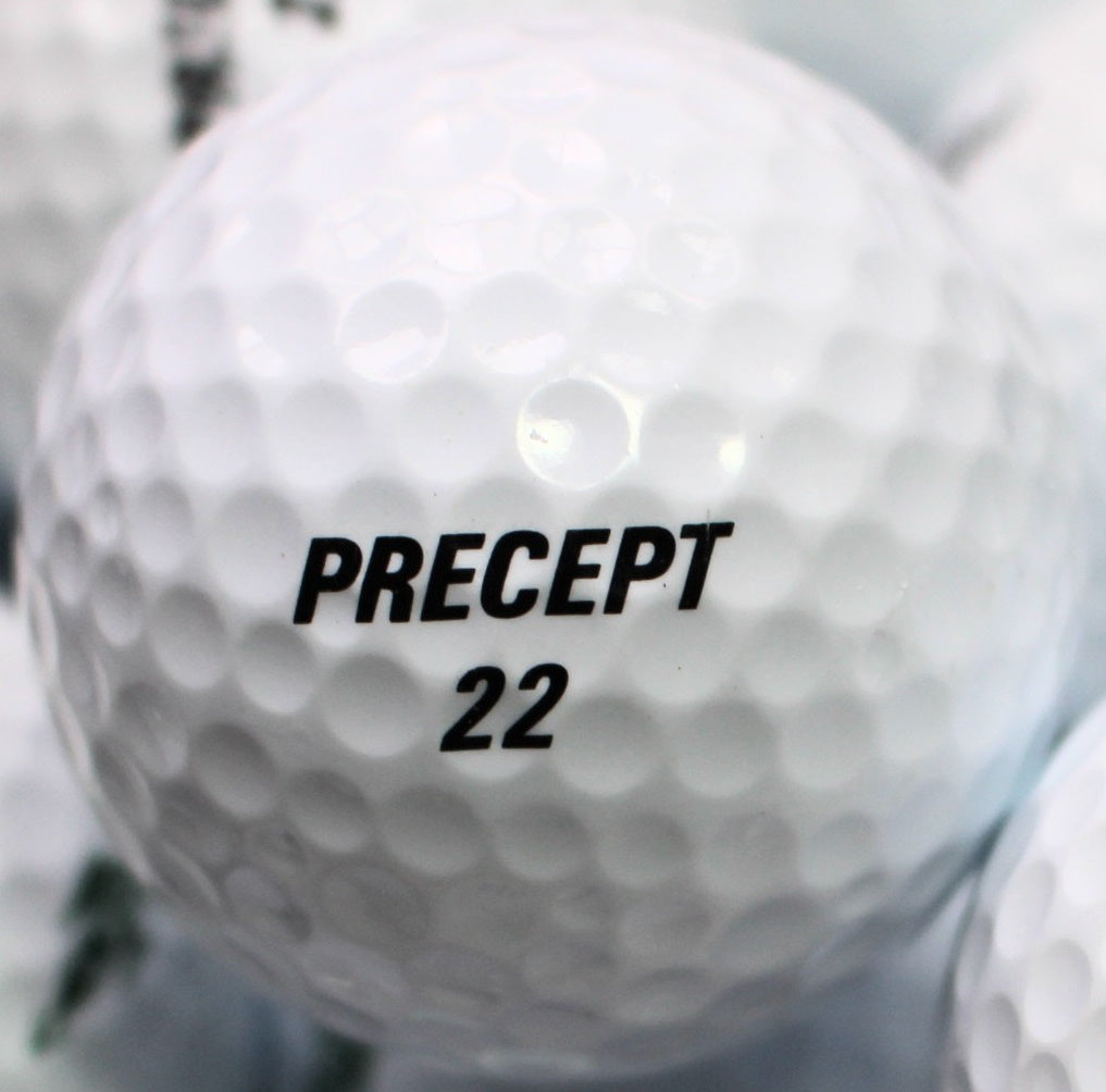 Precept Lakeballs Galeriebild